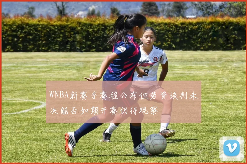 WNBA新赛季赛程公布但劳资谈判未决能否如期开赛仍待观察